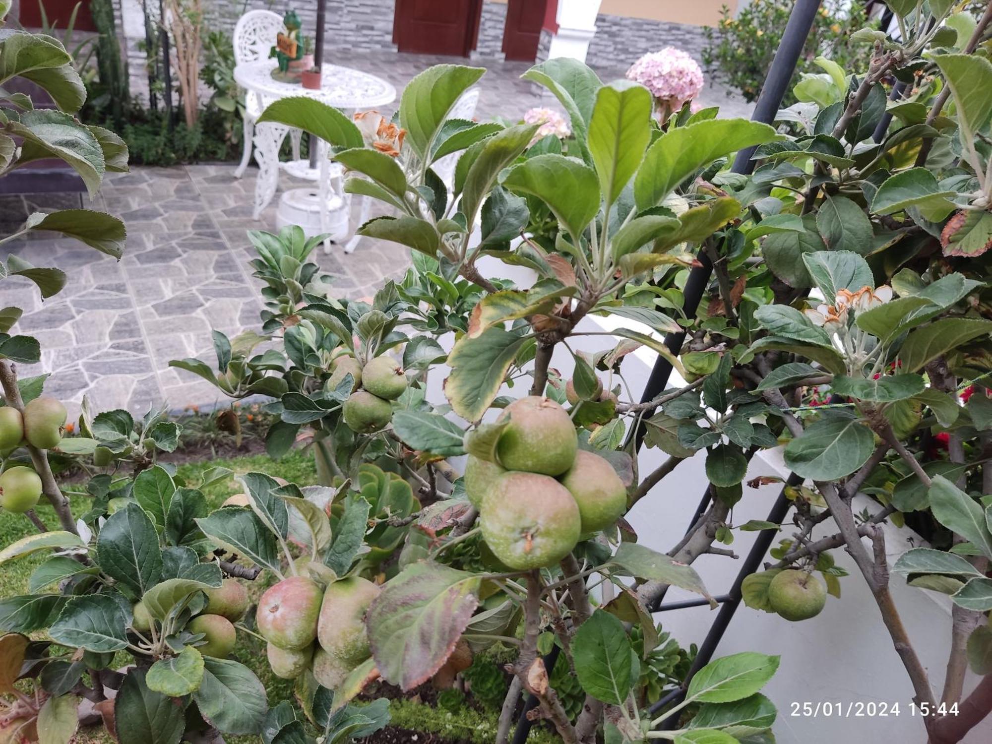 Casa Baraquel Hotell Arequipa Eksteriør bilde